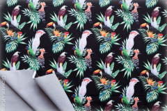 1_Softshell_linnud_ja_lehed